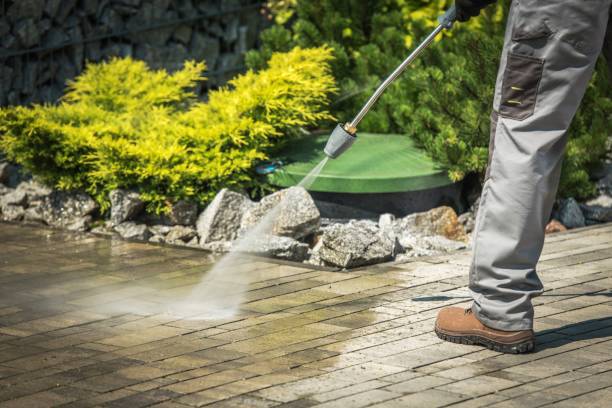 Best Animal Enclosure Cleaning  in Rogue River, OR